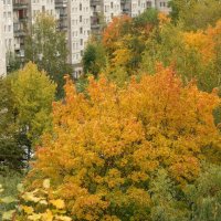 Осень во дворах... :: Юрий Куликов