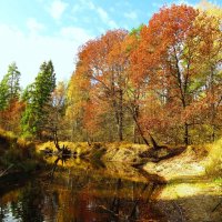 Осенние краски лесной реки :: Андрей Снегерёв