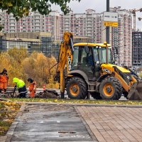 Начали копать – жди холодов и заморозков :: Валерий Иванович