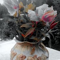 первый снег на цветы :: Любовь 