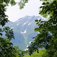 В  горах  Абхазии :: Татьяна Пальчикова