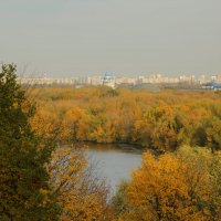 Осень в Коломенском :: Юрий Моченов