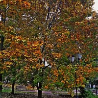 Осенний фонарик... :: Vladimir Semenchukov