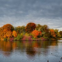 Южно- Приморский парк. Золотая осень :: Ярослав Трубников 