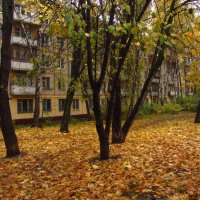 В Москве зрелая осень :: Андрей Лукьянов