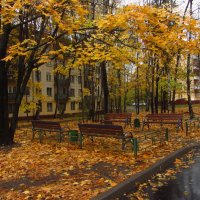 В Москве зрелая осень :: Андрей Лукьянов