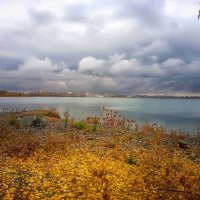 многоцветная осень... :: Натали Акшинцева