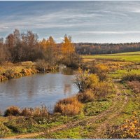 Осень на Торбеевом озере :: Татьяна repbyf49 Кузина