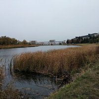 Осенняя рыбалка ... :: Татьяна Котельникова