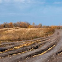 Золотые дороги осени :: Инна Драбкина