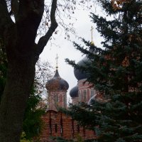 Донской монастырь. :: Oleg4618 Шутченко