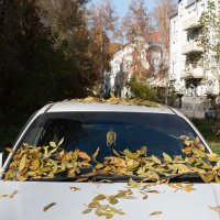 Осень под надзором Машкова :: Валерий Михмель 