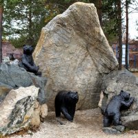 три медведя :: ольга хакимова