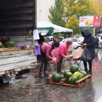 Соль-Илецкие арбузы. :: Ильсияр Шакирова