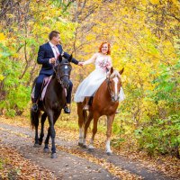 конная свадебная прогулка :: Виктория Андреева