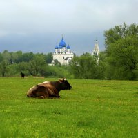 Утро в Суздале :: Юрий Моченов