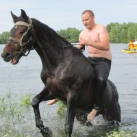 Купание коня :: Владимир 