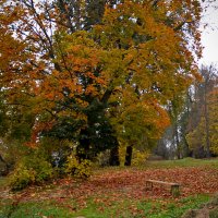 Осенний пейзаж :: Нина Синица