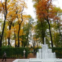 Осень в Летнем саду :: Наталия Короткова