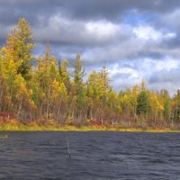 ОСЕНЬ :: Николай 