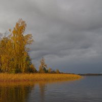 солнце появилось на несколько минут :: Галина 