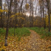 Экватор осени прошли :: Андрей Лукьянов