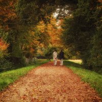 Прогулка в Осень :: Alexander Andronik