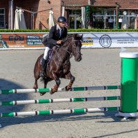 Кубок КСК Golden Horse 2019-10-13 :: Андрей Lyz