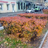 Природа осенью. :: Светлана Калмыкова