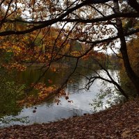 Осенний пейзаж :: dindin 