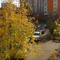 Второе Бабье лето в Москве :: Андрей Лукьянов