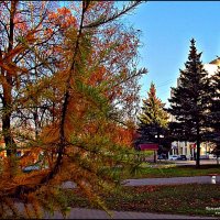 ВЛАДИМИР ПРОВИНЦИАЛЬНЫЙ :: Валерий Викторович РОГАНОВ-АРЫССКИЙ