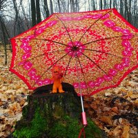 "А всё другое легко уладить с помощью зонта"... :: Андрей Заломленков