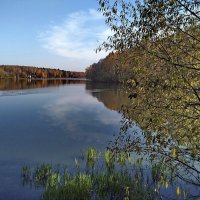 У природы нет плохой погоды. Моменты осени в Малаховке. :: Олег Пучков