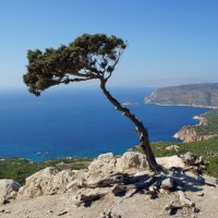 Вид на Эгейское море со стен Монолитоса :: Наталья Т