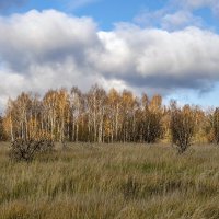 Про октябрь. :: Анатолий. Chesnavik.