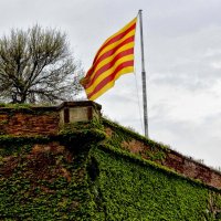 Флаг Каталонии :: Nina Karyuk