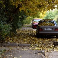 В моём городе листопад :: Татьяна Смоляниченко