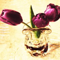 Тюльпаны в стиле Винтаж :: Victoria 