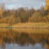 Новоладожский канал. Октябрь :: Наталья Герасимова