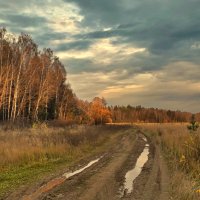 ОСЕННЕЕ НЕБО :: Лара Симонова 