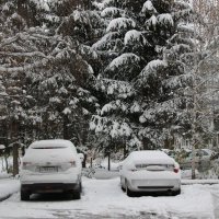 Снег выпал 20.10.19 в Бийске :: Олег Афанасьевич Сергеев