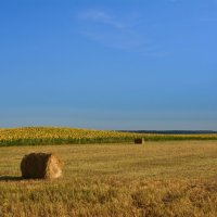 Это было летом :: Петр Заровнев