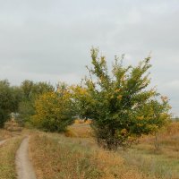 Осень :: kentiya 