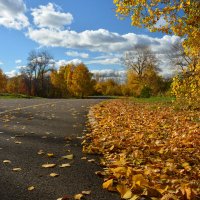 Дорога в осень :: Светлана Грызлова