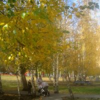 Осень :: Елена Семигина