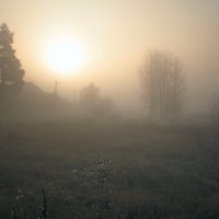 Даже солнцу сложно пробиться скозь плотный туман. :: Оксана Ильченко