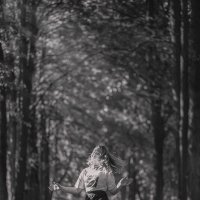 В волшебном лесу :: Светлана Карнаух