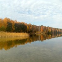 Вид на озеро ЕЛОВОЕ :: Дмитрий Петренко