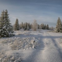 Зима пришла !!! :: Олег Кулябин